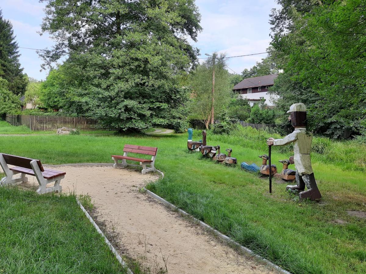 Apartmany Waldex Jetrichovice  Luaran gambar